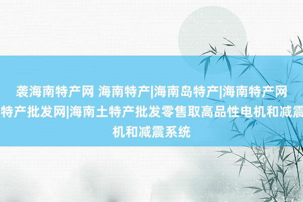 袭海南特产网 海南特产|海南岛特产|海南特产网|海南特产批发网|海南土特产批发零售取高品性电机和减震系统