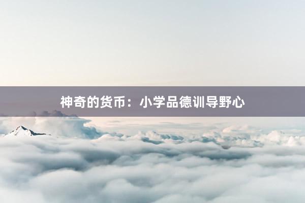 神奇的货币：小学品德训导野心