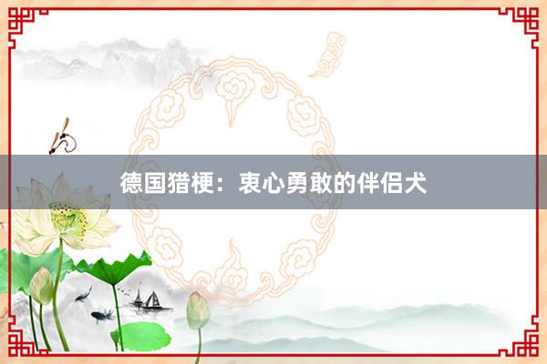 德国猎梗：衷心勇敢的伴侣犬