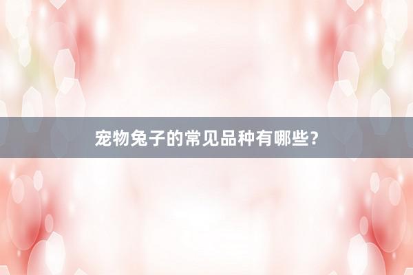 宠物兔子的常见品种有哪些?